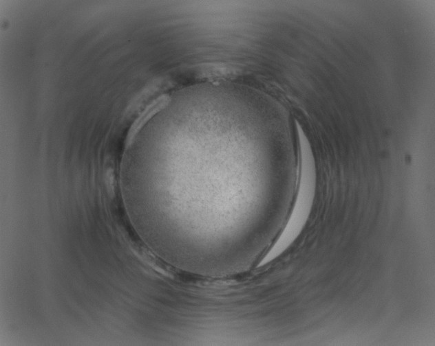 X0000068760716200605011002