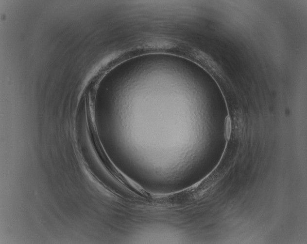 X0000068760726200605011001
