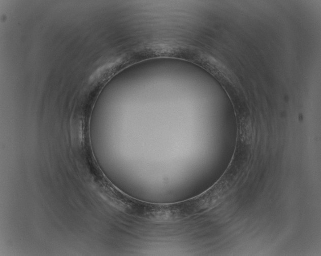 X0000068760740200605011001