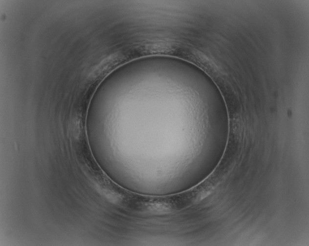 X0000068760741200605011001