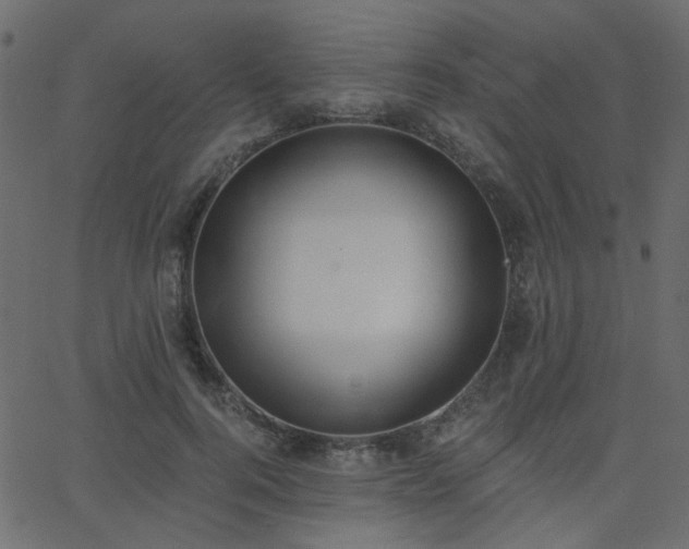 X0000068760744200605011001
