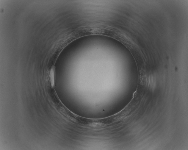 X0000068760748200605011001