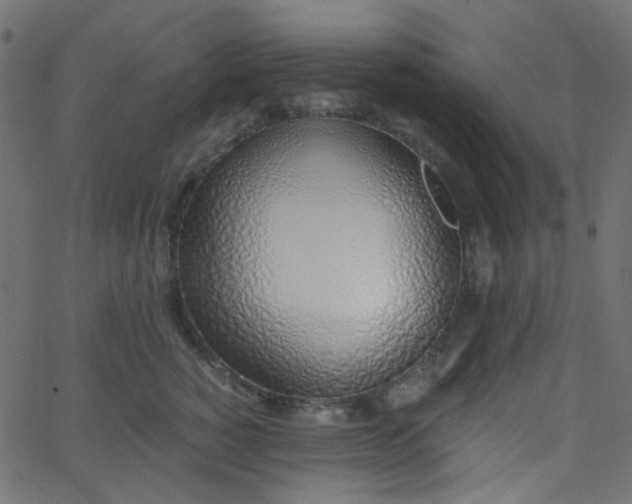 X0000068760760200605011001