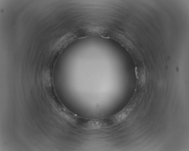 X0000068760764200605011001
