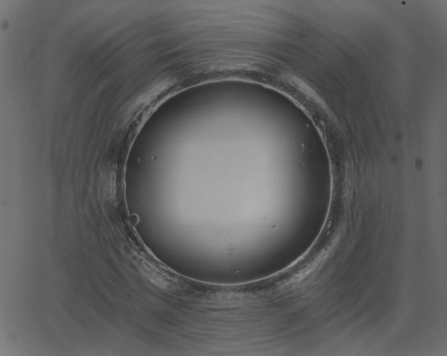 X0000068760777200605011001