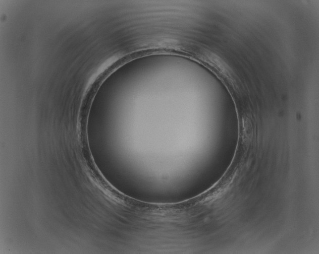 X0000068760780200605011000
