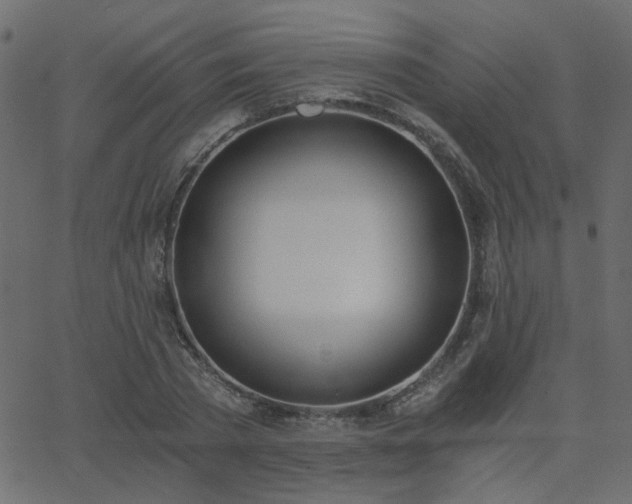 X0000068760785200605011000
