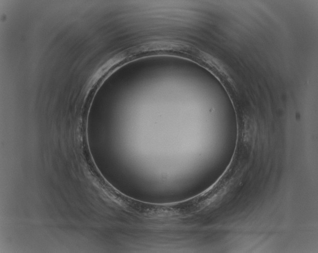 X0000068760786200605011000