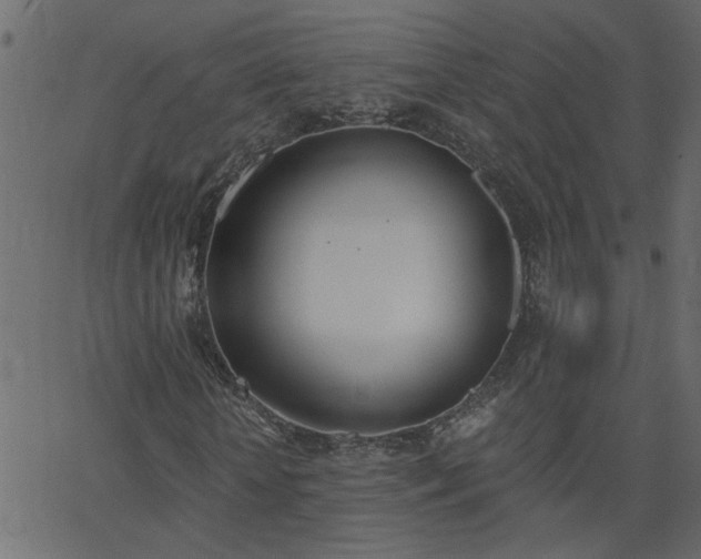 X0000068760818200605010959