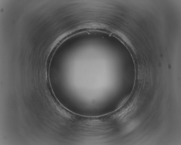 X0000068760837200605010959