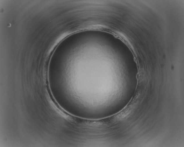 X0000068760851200605011000