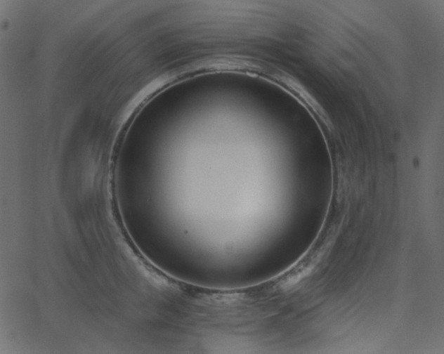 X0000068760853200605011000