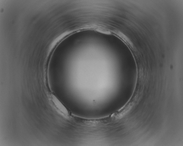 X0000068760854200605011000
