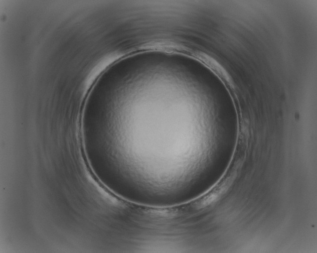 X0000068760855200605011000