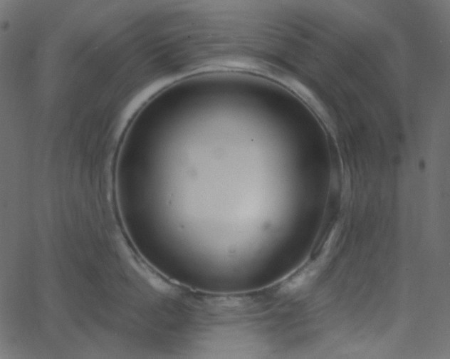 X0000068760862200605011000