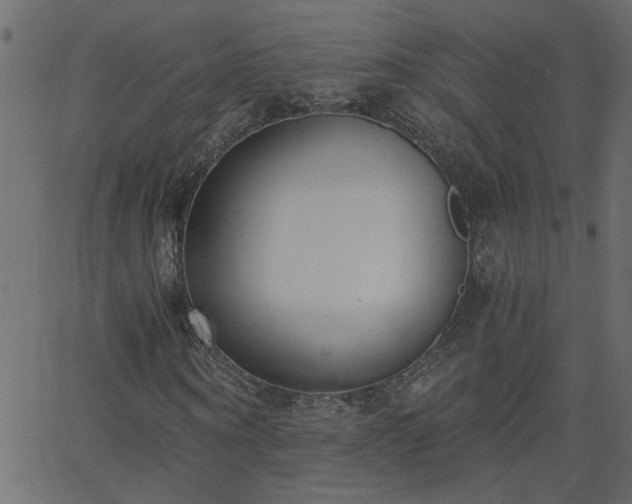 X0000068760866200605010959