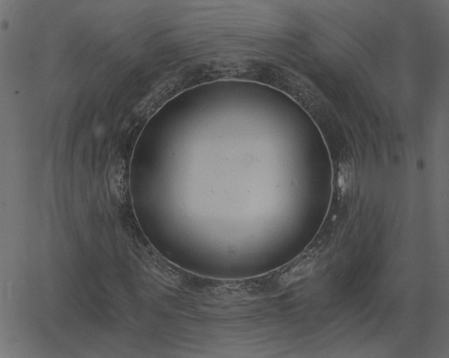 X0000068760867200605010959
