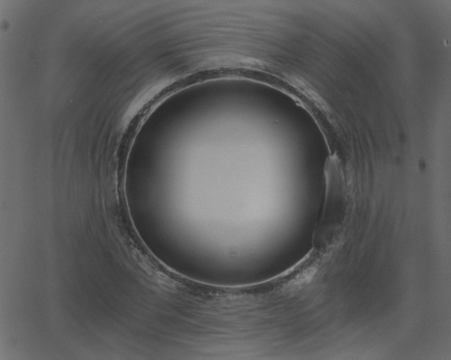 X0000068760877200605010959