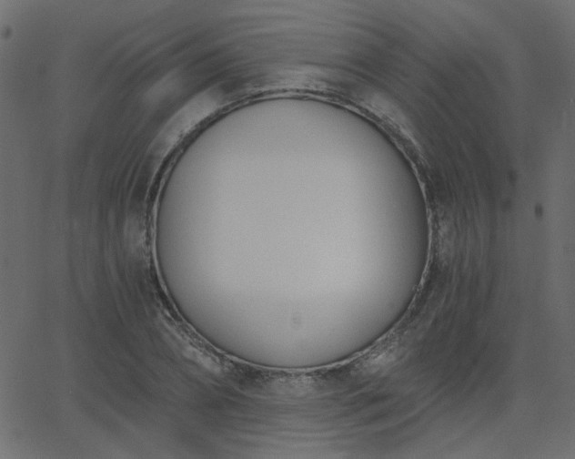 X0000068760882200605010959