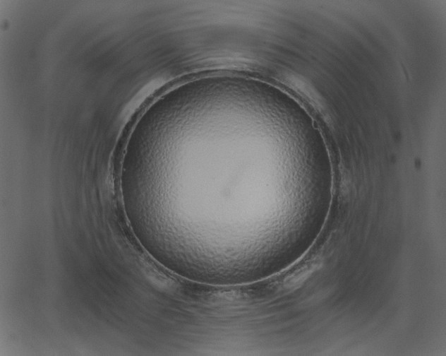 X0000068760883200605010959