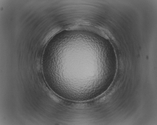 X0000068760889200605010959