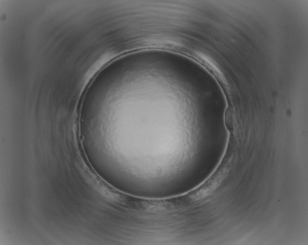 X0000068760899200605010959