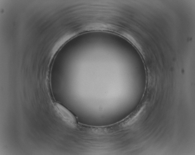X0000068760901200605010959