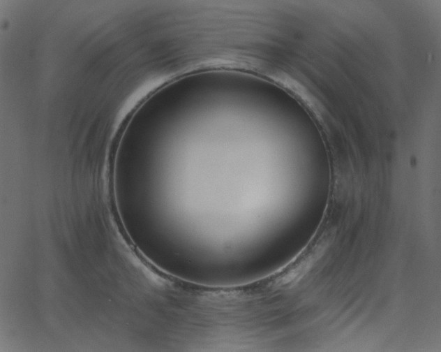 X0000068760902200605010958
