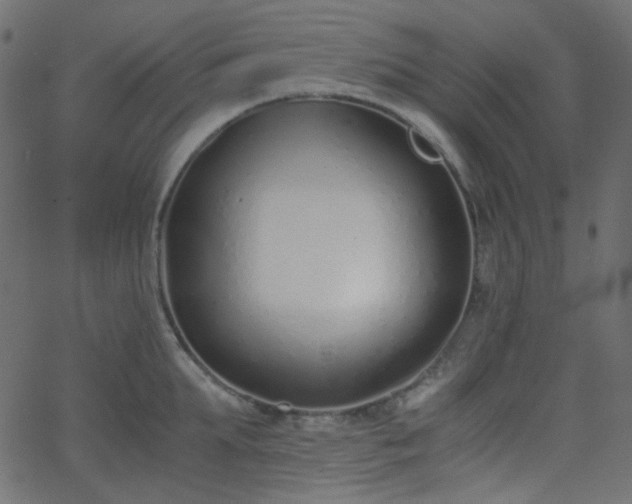 X0000068760903200605010958