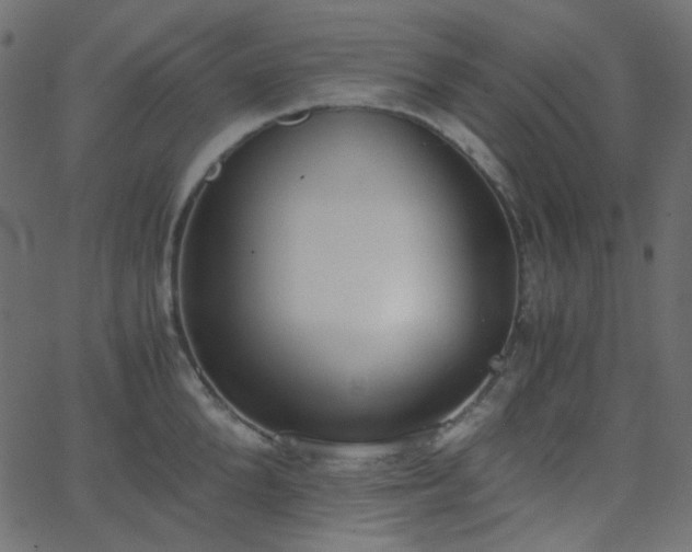X0000068760904200605010958