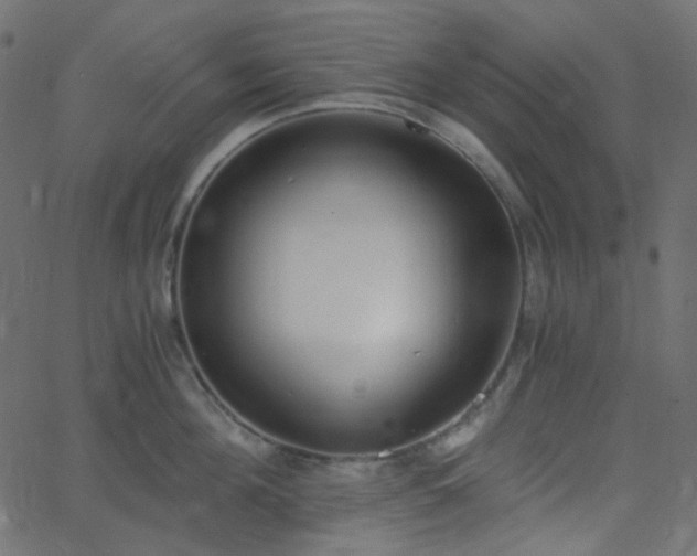 X0000068760908200605010958