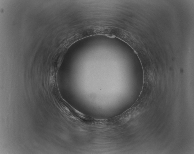 X0000068760914200605010958