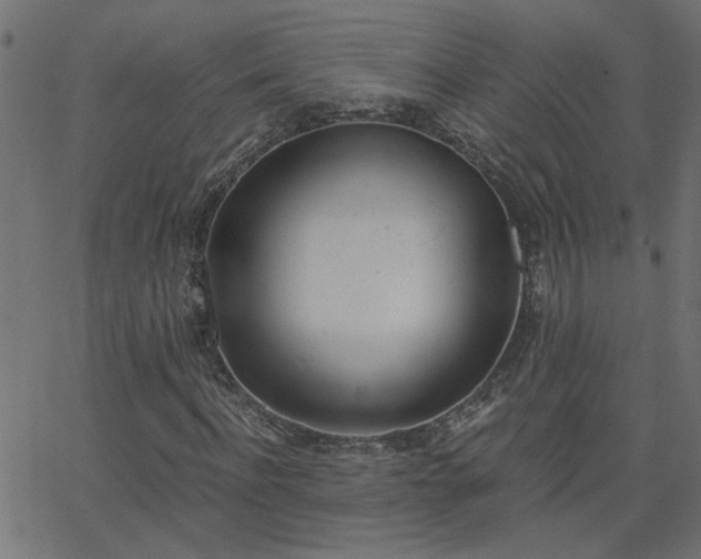 X0000068760916200605010958