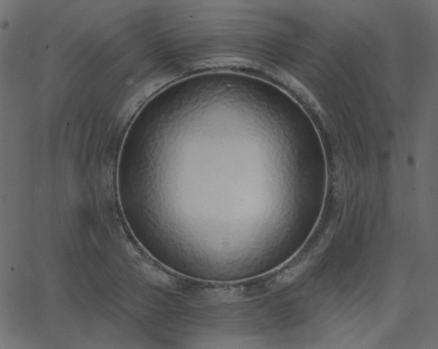 X0000068760937200605010958