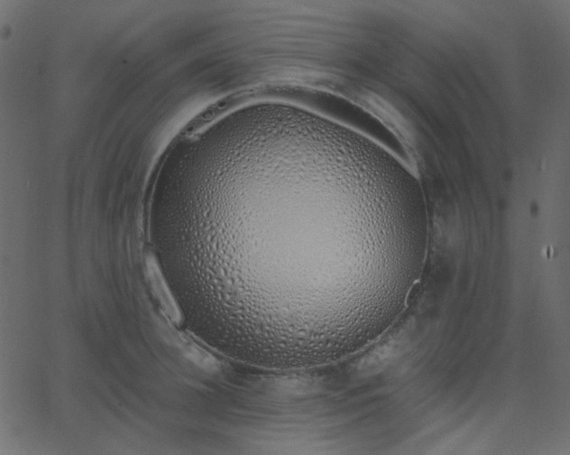 X0000068760948200605010958