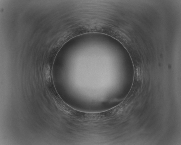 X0000068760963200605010957