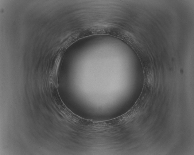 X0000068760964200605010957