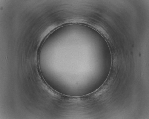 X0000068760990200605010957