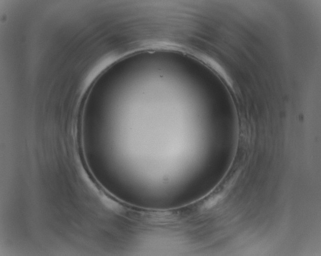 X0000068761007200605010957