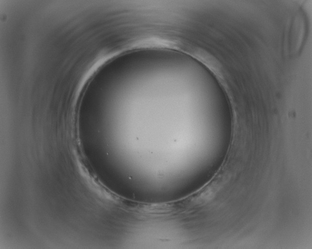 X0000068761008200605010957