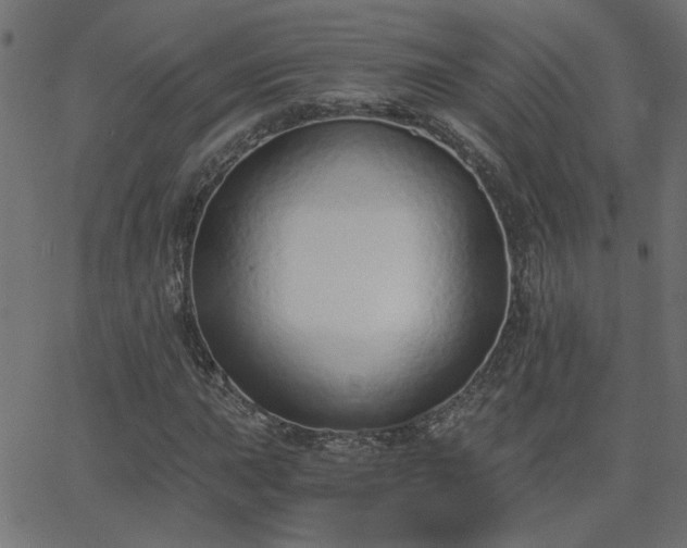 X0000068761015200605010956