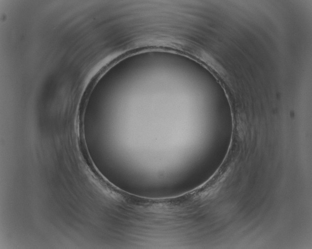 X0000068761028200605010956