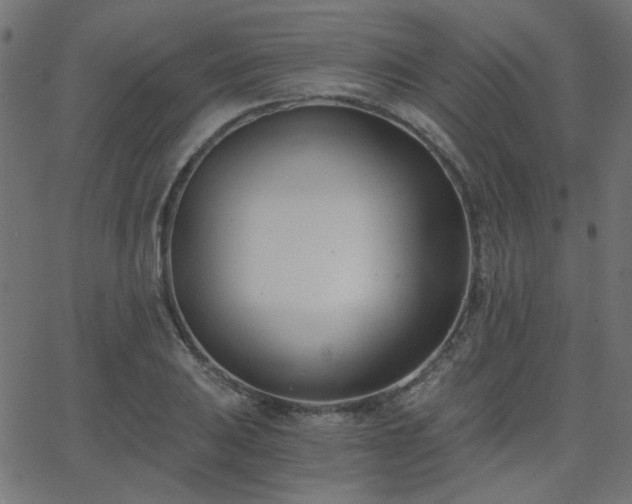 X0000068761031200605010956