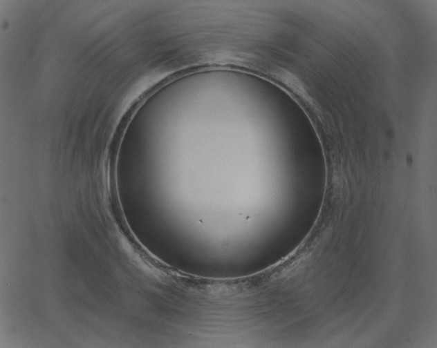 X0000068761032200605010956