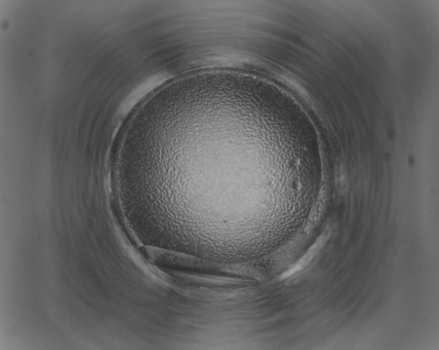 X0000068761034200605010956
