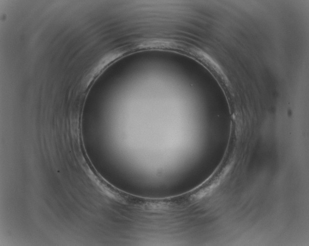 X0000068761041200605010956