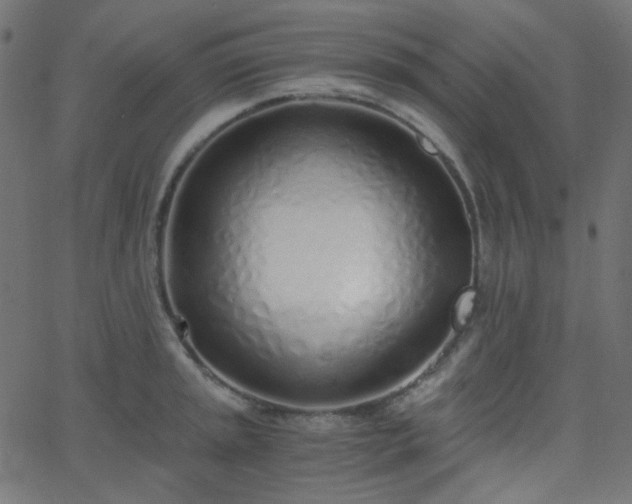 X0000068761045200605010957