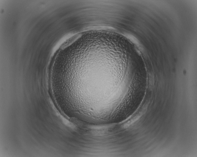 X0000068761046200605010957