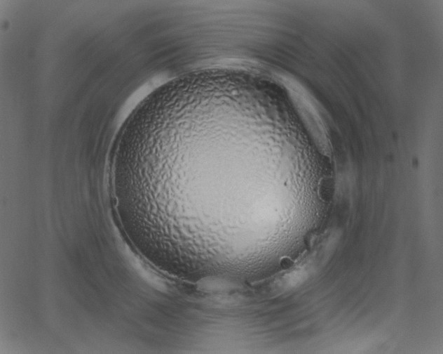 X0000068761050200605010957