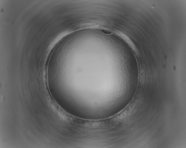 X0000068761051200605010957